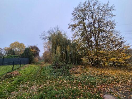 Foto - Grundstück zur Miete in Lollar