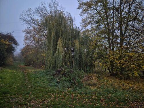 Foto - Grundstück in Lollar