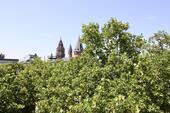 Foto - Modernisierte 3-Zimmer-Wohnung mit Dom-Blick – Erstbezug nach Kernsanierung in Mainz-Innenstadt