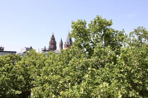 Foto - Modernisierte 3-Zimmer-Wohnung mit Dom-Blick – Erstbezug nach Kernsanierung in Mainz-Innenstadt