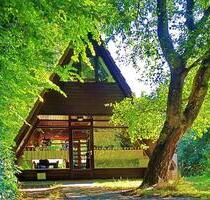 Ferienhaus Slufterduin Insel Texel Haustiere willkommen Strand - Rietberg Ferienhaus Slufterduin Insel Texel Haustiere willkommen Strand - Rietberg