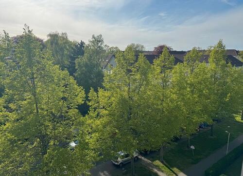 Foto - Dachgeschoßwohnung in Braunschweig zur Miete