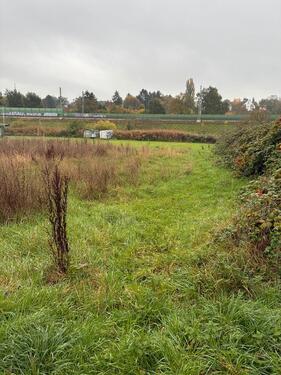 Foto - 3.548 qm Acker Feld in Berkersheim zu verpachten Grundstück