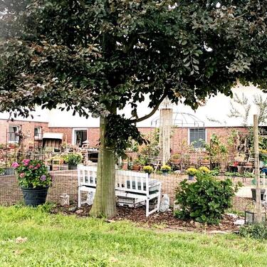 Foto - Möbliertes WG-Zimmer Haus inmitten einer Apfel-Plantage