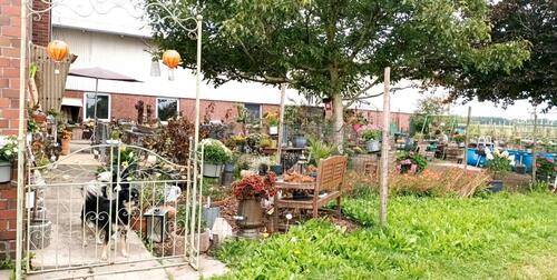 Foto - 1 Zimmer Einfamilienhaus in Oederquart