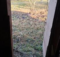 Hühnerstall zu vermieten - 40,00&nbsp;EUR Kaltmiete, ca.&nbsp; 0,00&nbsp;m&sup2; in Freudenstadt (PLZ: 72250)