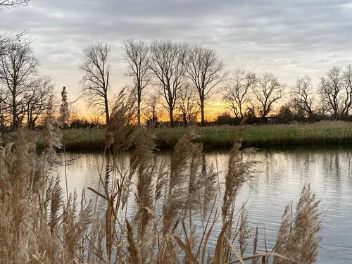 Foto - Etagenwohnung zur Miete in Limburgerhof
