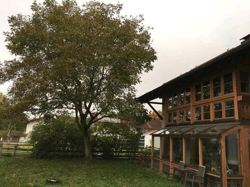 Foto - Einfamilienhaus zum Kaufen in Grabenstätt