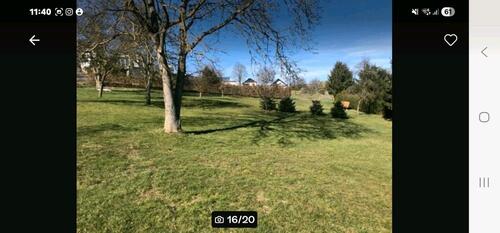 Foto - 10 Zimmer Mehrfamilienhaus, Wohnhaus in Niederwörresbach