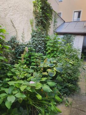 Foto - Zwei denkmalgeschützte Wohn- und Geschäftshäuser in der Altstadt