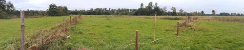 Foto - verpachte Wiese zum mähen - 130,00 EUR Kaltmiete, ca.  0,00 m²
