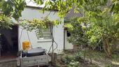 Foto - Einfamilienhaus in Mutterstadt zum Kaufen