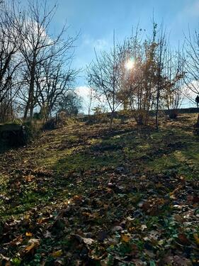 Foto - Grundst&uuml;ck zur Miete in Friesenheim