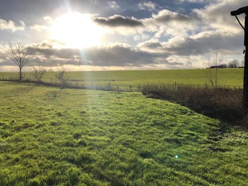 Foto - andere in Laage zur Miete