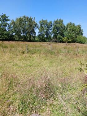 Foto - Baugrundstück mit Altbestand -provisionsfrei-