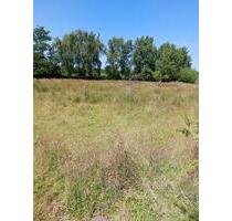 Baugrundstück mit Altbestand -provisionsfrei- - Brunsbüttel