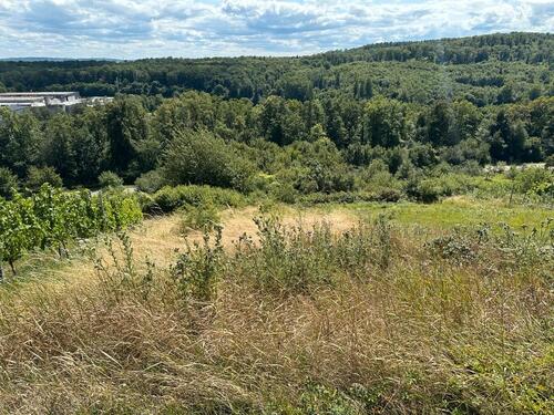 Foto - Grundst&uuml;ck zur Miete in Ölbronn-Dürrn