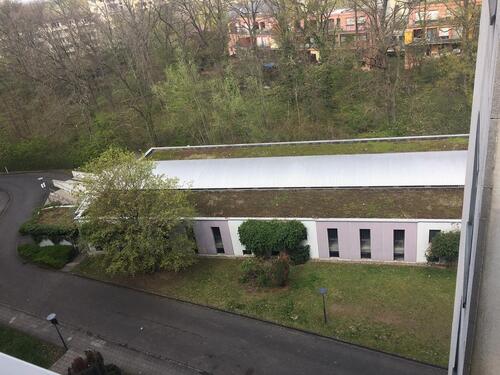 Foto - andere in Bonn zur Miete