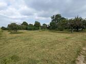 Foto - Wiese in Bietigheim (Lug) Stückle Baumwiese Grundstück