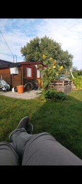 Foto - Kleingarten im Siegfriedviertel