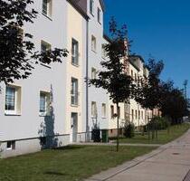 4 Raumwohnung mit Blick auf die Mulde in Dessau - Dessau-Roßlau