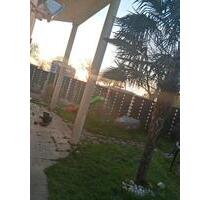 Eigentumswohnung in Algolsheim kein Wartungsstau ! (Elsass) - Breisach am Rhein