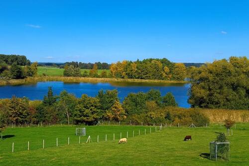 Foto - Einfamilienhaus in Blankensee zum Kaufen