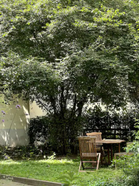 Foto - 2.5 Zimmer Erdgeschoßwohnung zur Miete in Berlin