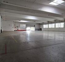 Lagerhalle ca 500 qm - teilbar ab 250 qm in Lindau ebenerdig - Lindau (Bodensee)
