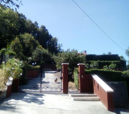 Foto - 