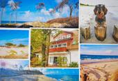 Foto - Ferienwohnung Fewo Hund Strand Wald Prerow
