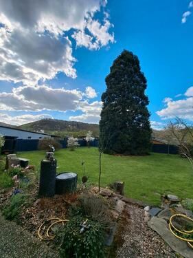 Foto - 4 Zimmer Etagenwohnung zur Miete in Ayl