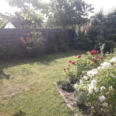 Foto - Kleingarten Dänische Wieck - 5.000,00 EUR Kaltmiete, ca.  0,00 m²