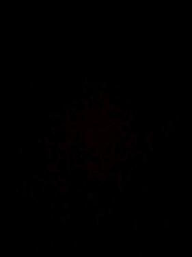 Foto - Wohnung Frei - 700,00 EUR Kaltmiete,