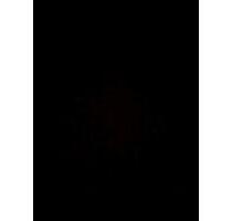 Wohnung Frei - 700,00 EUR Kaltmiete, in Köln (PLZ: 51103) Kalk