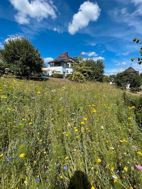 Foto - 4 Zimmer Etagenwohnung zur Miete in Kirchen (Sieg)