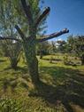 Foto - Kleingarten - 50,00&nbsp;EUR Kaltmiete, ca.&nbsp; 0,00&nbsp;m&sup2;