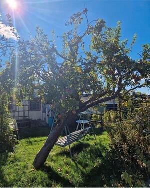 Foto - Grundstück zur Miete in Leipzig