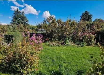 Foto - Grundstück in Leipzig zur Miete