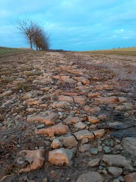 Foto - Wohnen und Leben im Baudenkmal - 500,00&nbsp;EUR Kaltmiete, ca.&nbsp; 90,00&nbsp;m&sup2;