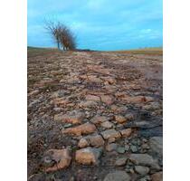 Wohnen und Leben im Baudenkmal - 500,00&nbsp;EUR Kaltmiete, ca.&nbsp; 90,00&nbsp;m&sup2; in Bad Bibra (PLZ: 06647)