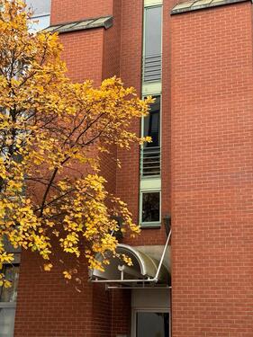 Foto - Etagenwohnung zur Miete in Düsseldorf