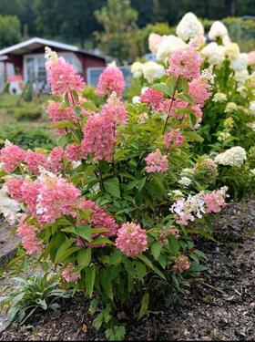 Foto - Grundstück zur Miete in Schwarzenberg/Erzgebirge