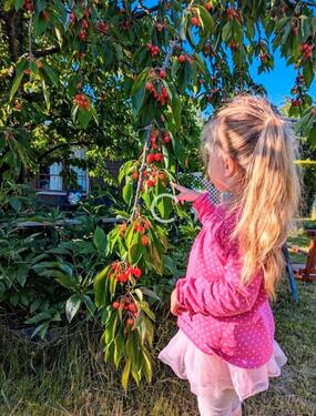 Foto - Grundstück in Schwarzenberg/Erzgebirge