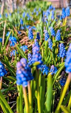 Foto - Grundstück in Schwarzenberg/Erzgebirge zur Miete