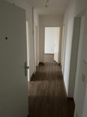 Foto - 2 Zimmer Erdgeschoßwohnung zur Miete in Wiesbaden