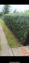 Foto - Schrebergarten - 4.300,00 EUR Kaltmiete, ca.  0,00 m²