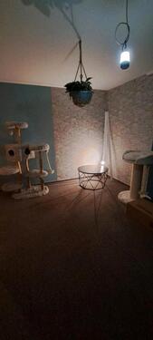 Foto - Etagenwohnung in Wrist