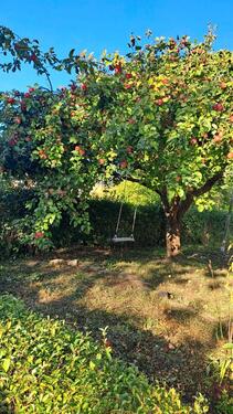 Foto - Grundstück in Oederan zur Miete