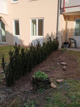 Foto - 2 Zimmer Etagenwohnung zum Kaufen in Karlsruhe